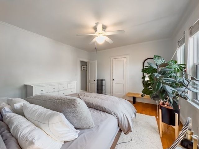 23 Goldsmith St 3, Boston, MA 02130