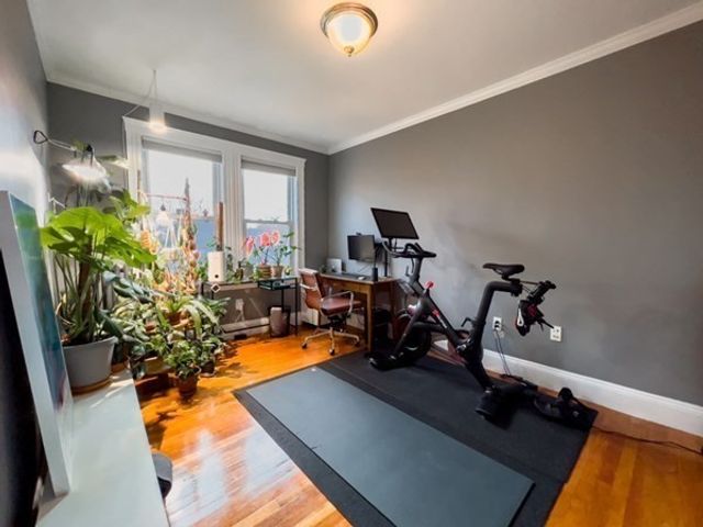 23 Goldsmith St 3, Boston, MA 02130