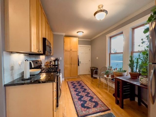 23 Goldsmith St 3, Boston, MA 02130