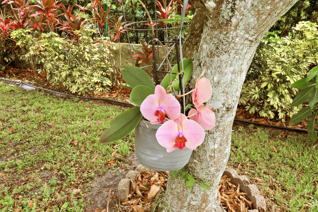 15821 Sedgewyck Circle N, Davie, FL 33331