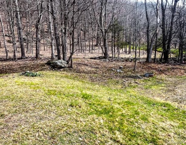 122 Twinshaven Road, Napanoch, NY 12458
