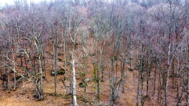 122 Twinshaven Road, Napanoch, NY 12458