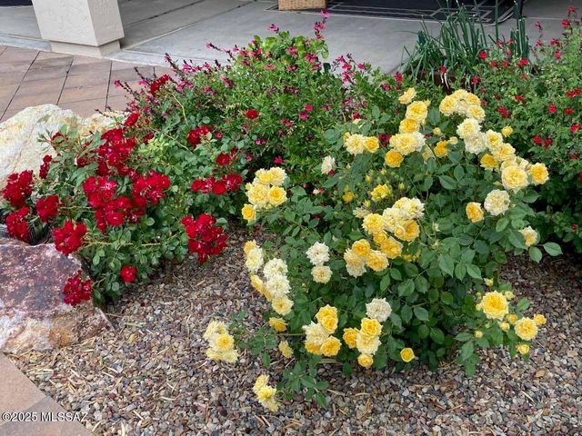 59978 E Amur Lane, Oracle, AZ 85623