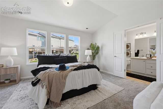 972 Burning Bush Point, Monument, CO 80132