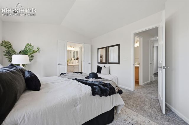 972 Burning Bush Point, Monument, CO 80132