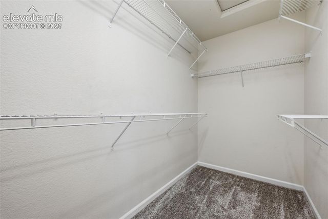 972 Burning Bush Point, Monument, CO 80132