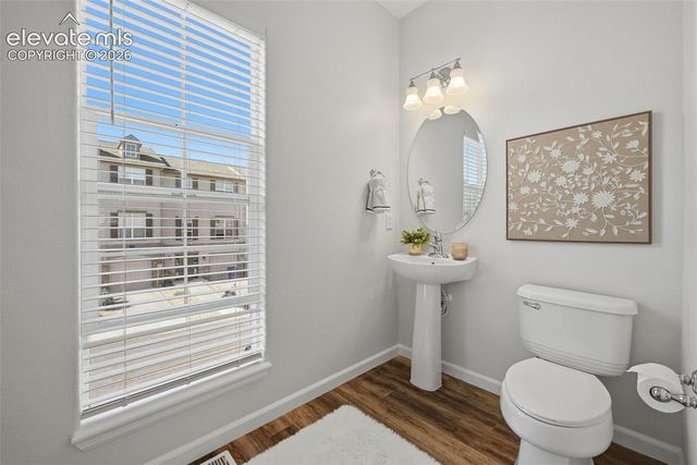 972 Burning Bush Point, Monument, CO 80132