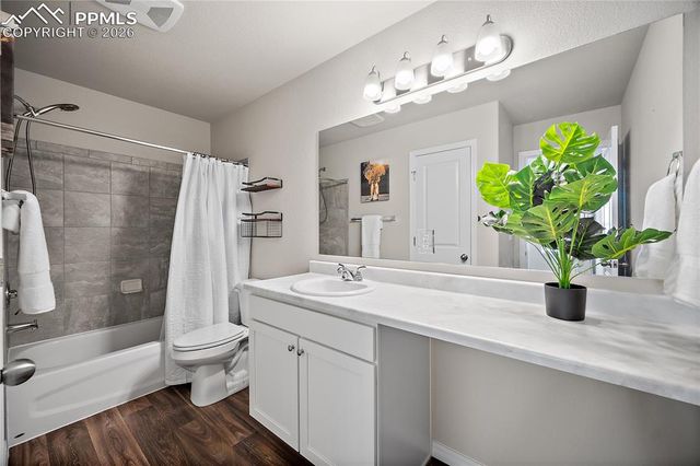 4295 Samaritan Loop, Colorado Springs, CO 80916