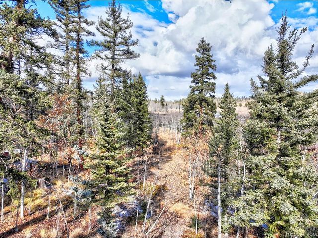45 Swiggler Ct, Jefferson, CO 80456