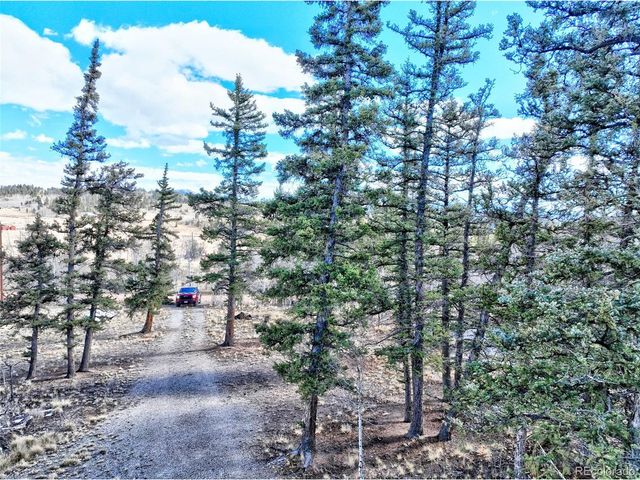 45 Swiggler Ct, Jefferson, CO 80456