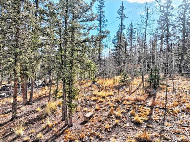 45 Swiggler Ct, Jefferson, CO 80456