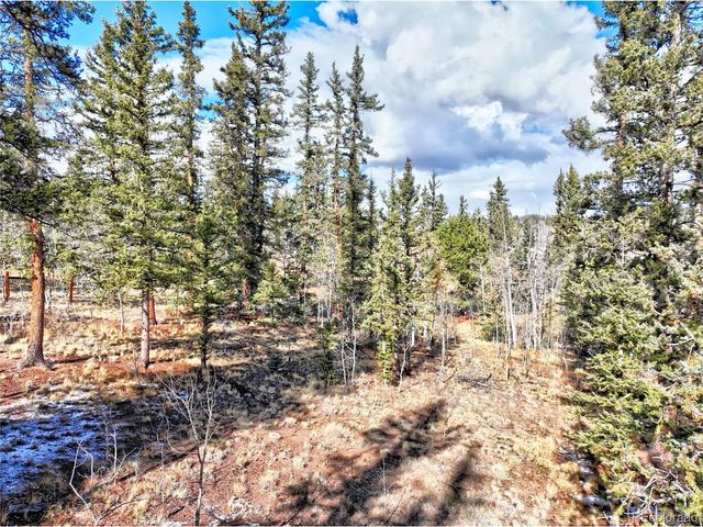 45 Swiggler Ct, Jefferson, CO 80456