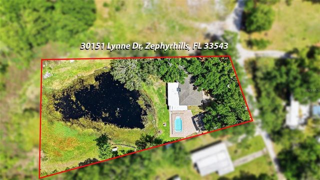 30151 LYNNE DRIVE, Wesley Chapel, FL 33543