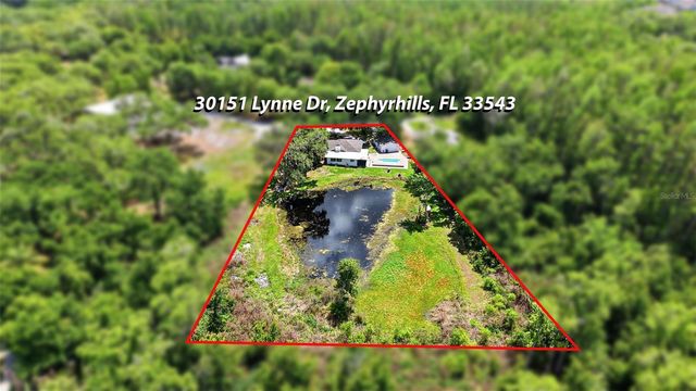 30151 LYNNE DRIVE, Wesley Chapel, FL 33543
