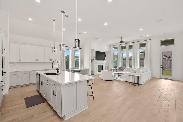 21707 Prickly Caterpillar Court, Cypress, TX 77433