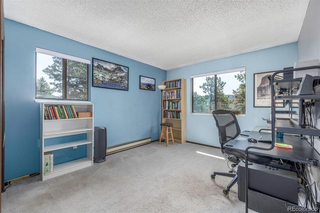 9629 Fallen Rock Road, Conifer, CO 80433