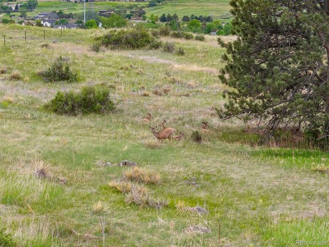 10720 Mount Antero Way, Parker, CO 80138