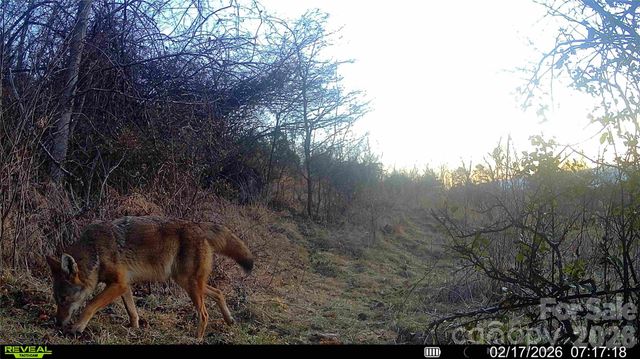 99999 Green Valley Road, Leicester, NC 28748