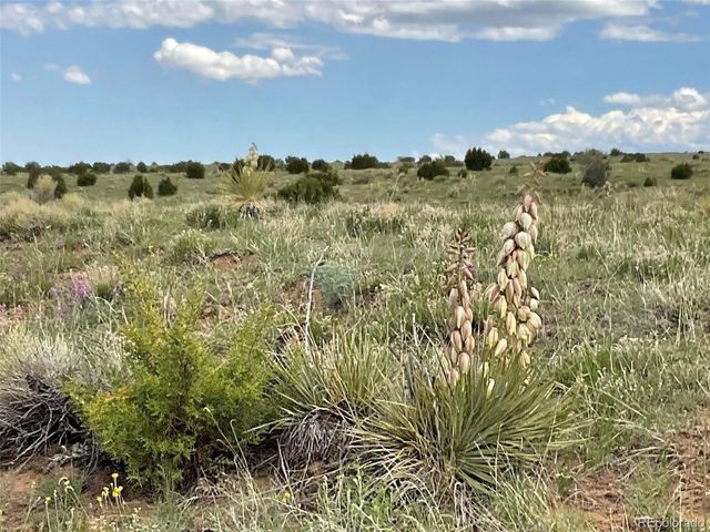 Rio Cucharas Phase 1, Walsenburg, CO 81089
