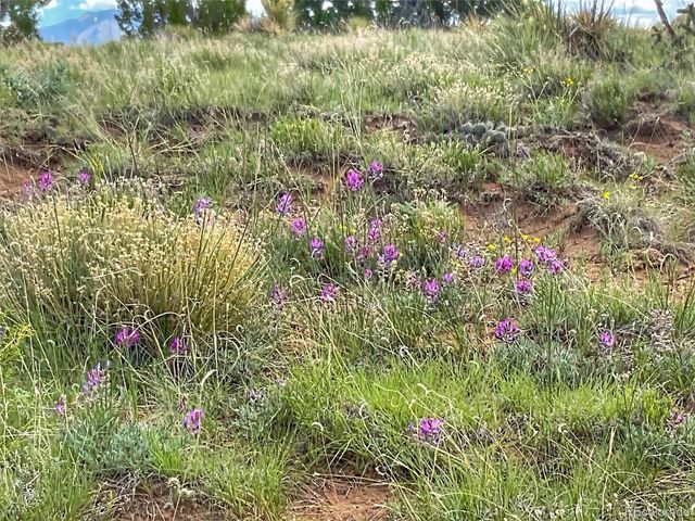 Rio Cucharas Phase 1, Walsenburg, CO 81089