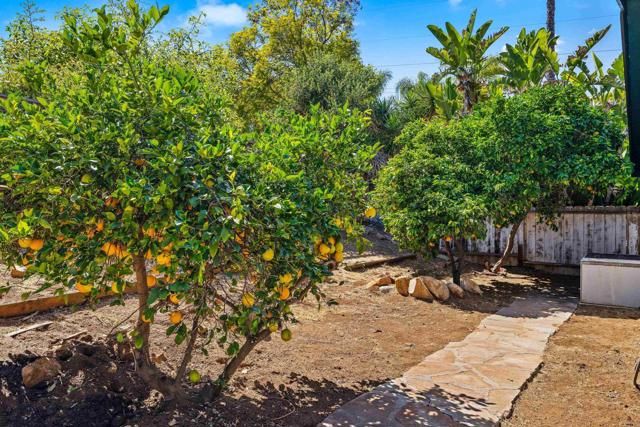 111 Avocado, Escondido, CA 92025