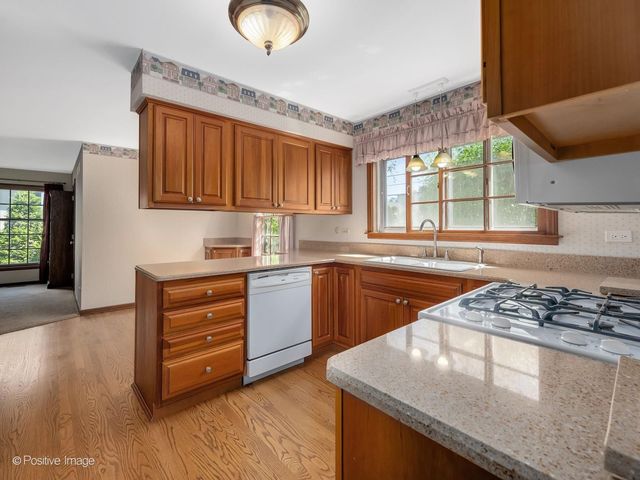 217 S Rex Boulevard, Elmhurst, IL 60126
