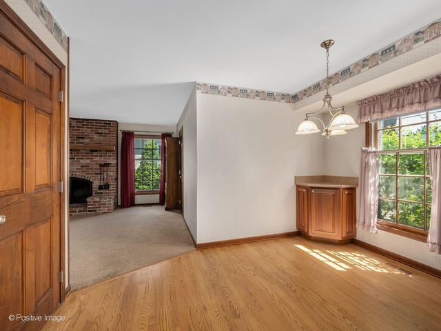 217 S Rex Boulevard, Elmhurst, IL 60126