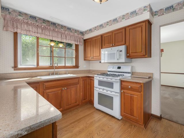 217 S Rex Boulevard, Elmhurst, IL 60126