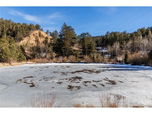 993 Highway 7 Business, Allenspark, CO 80510