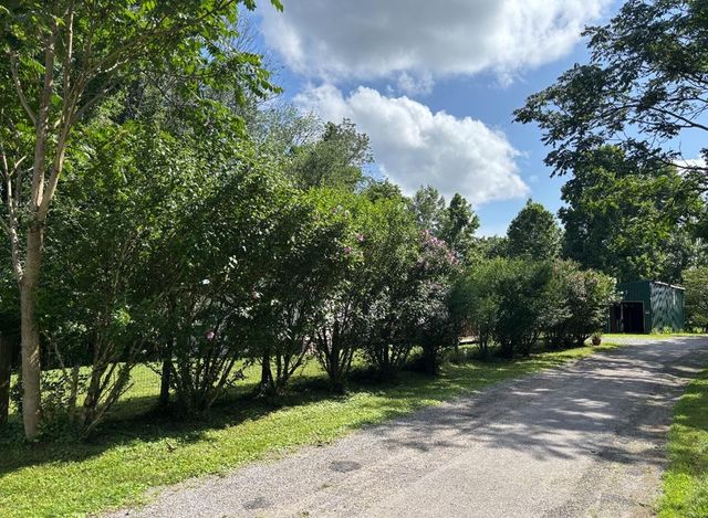 589 Dyer Cemetery Rd, Bloomington Springs, TN 38545