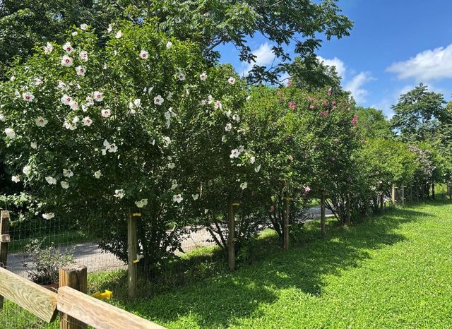 589 Dyer Cemetery Rd, Bloomington Springs, TN 38545