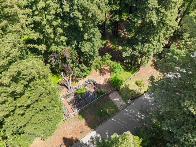 266 Coffeeberry Drive, Boulder Creek, CA 95006
