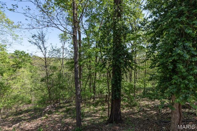 5560 Twilight Drive, Cedar Hill, MO 63016