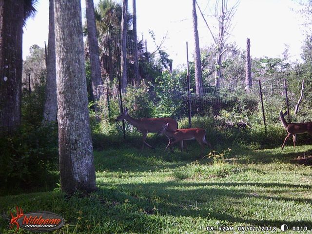 165 WILLOW OAK WAY, Palm Coast, FL 32137