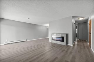 12816 Nicollet Avenue 102, Burnsville, MN 55337