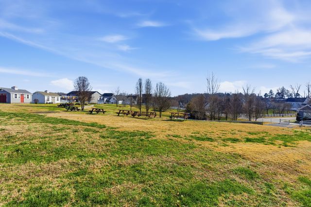 315 Augusta Ave, Pleasant View, TN 37146