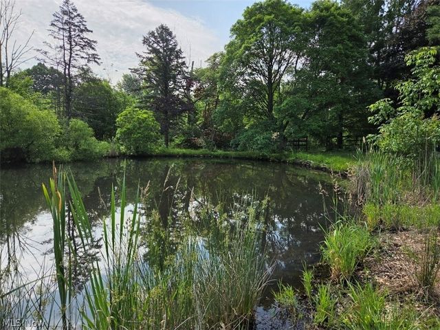 10614 Jones Road, Litchfield, OH 44253