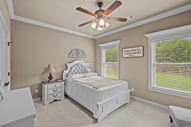 41 Shadow Creek Cir, Austin, AR 72007