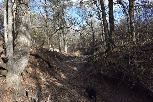 TBD COUNTY ROAD 146, Lipan, TX 76462