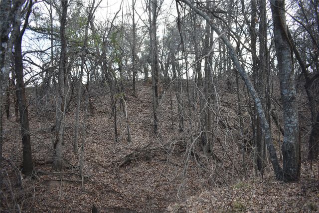 TBD COUNTY ROAD 146, Lipan, TX 76462