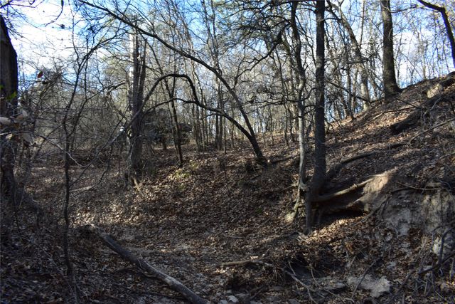 TBD COUNTY ROAD 146, Lipan, TX 76462