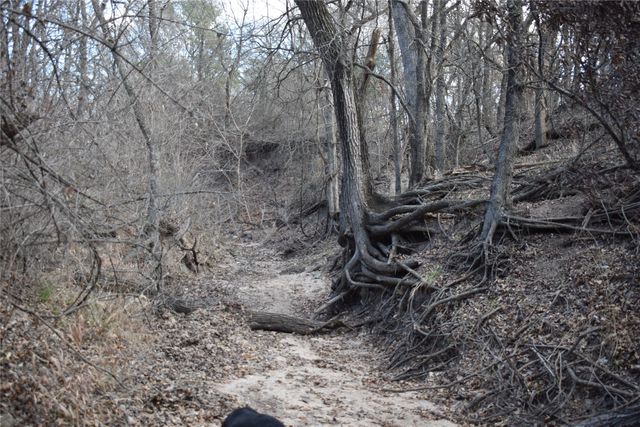 TBD COUNTY ROAD 146, Lipan, TX 76462