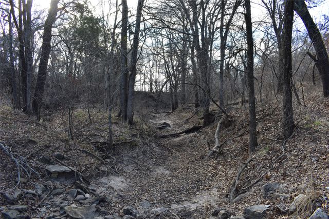 TBD COUNTY ROAD 146, Lipan, TX 76462