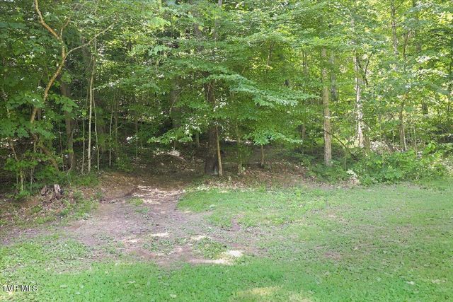 6701 Tennessee 66, Rogersville, TN 37857