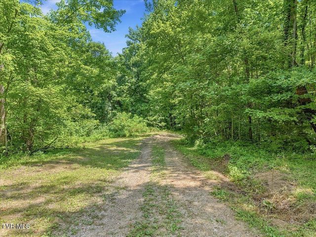 6701 Tennessee 66, Rogersville, TN 37857