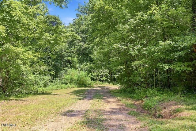 6701 Tennessee 66, Rogersville, TN 37857