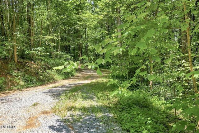 6701 Tennessee 66, Rogersville, TN 37857