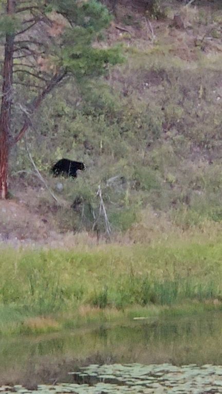 306 Parker Lakes Road, Bigfork, MT 59911 photo 32