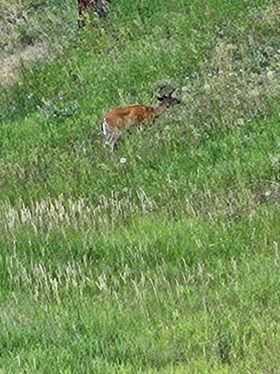 306 Parker Lakes Road, Bigfork, MT 59911 photo 33