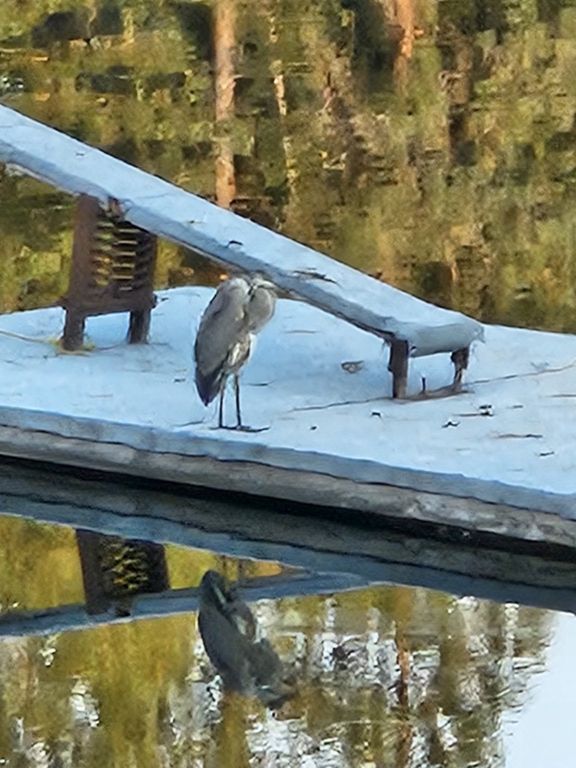 306 Parker Lakes Road, Bigfork, MT 59911 photo 34